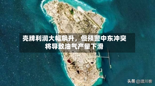 壳牌利润大幅飙升，但预警中东冲突将导致油气产量下滑-第2张图片